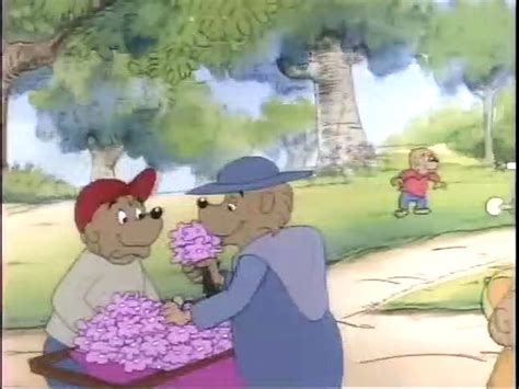 The Berenstain Bears Learn About Strangers 480p Vídeo Dailymotion