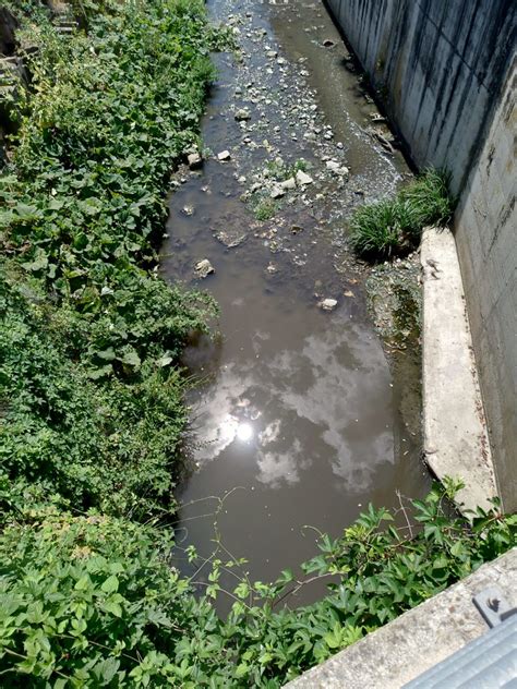 Acquedotto Del Fiora Al Lavoro Per Ripulire Il Torrente Riluogo Siena