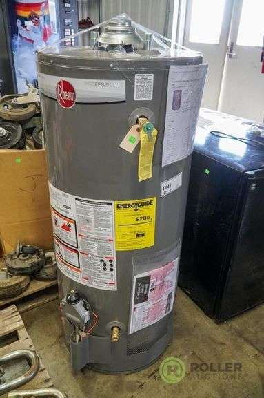 Rheem Gallon Electric Water Heater Roller Auctions