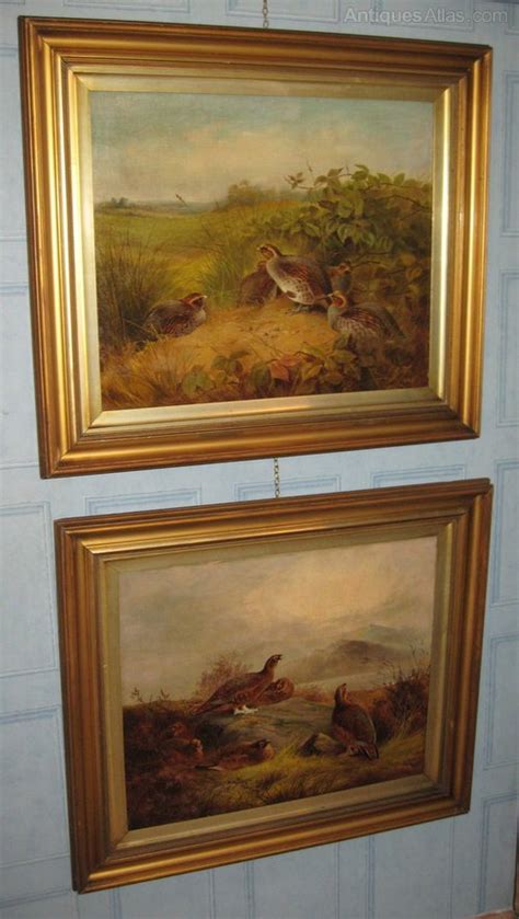 Antiques Atlas Superb Large Pair Of Game Bird Oil Paintings