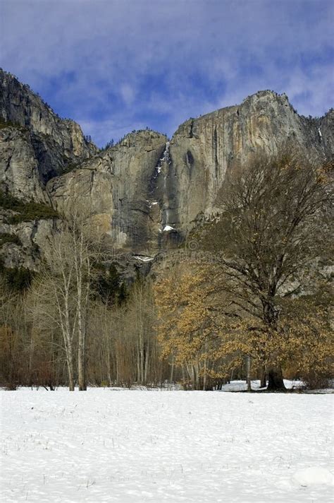 Yosemite Falls in Winter stock photo. Image of scenery - 8804508