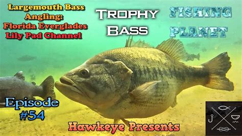 Unique Largemouth Bass Fishing Planet Dashlkak