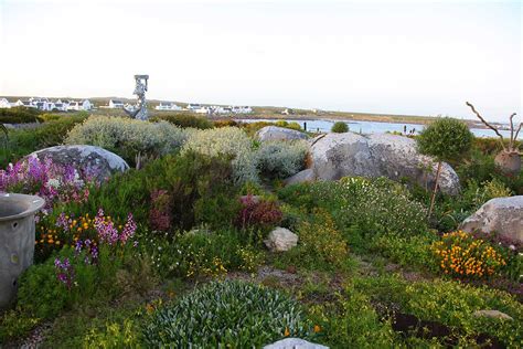 Creating A Coastal Garden Garden Design The Gardener The Gardener