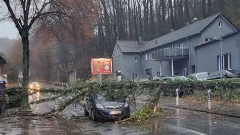 Baum stürzt auf Pkw Sturm in Porta und Schaumburg sorgt für zahlreiche