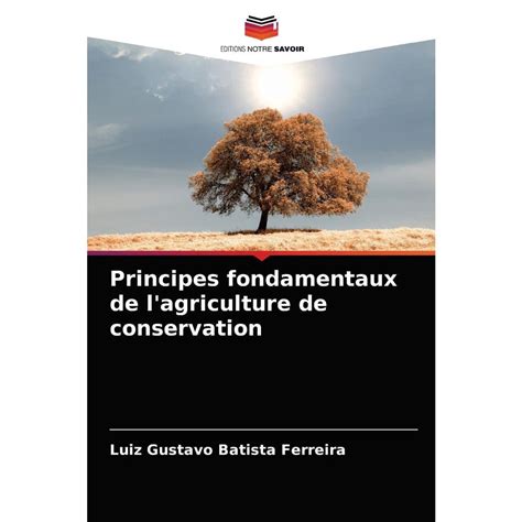 Principes Fondamentaux De Lagriculture De Conservation Submarino