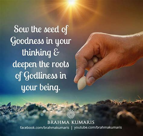 77+ Best Quotes Of Brahma Kumaris | Quotes Ops