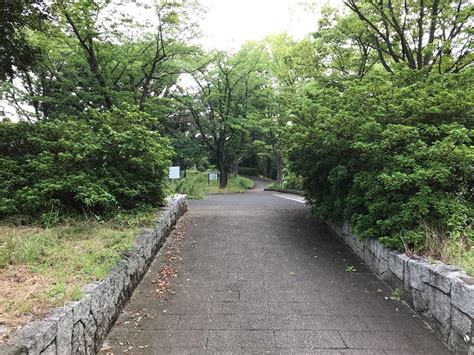 横浜時報 On Instagram “阿久和団地の十字路からもっとも近い、阿久和蟹沢公園への入り口。 阿久和蟹沢公園の裏庭のような場所で、春になると桜を楽しめる箇所。現在は健康器具などが設置