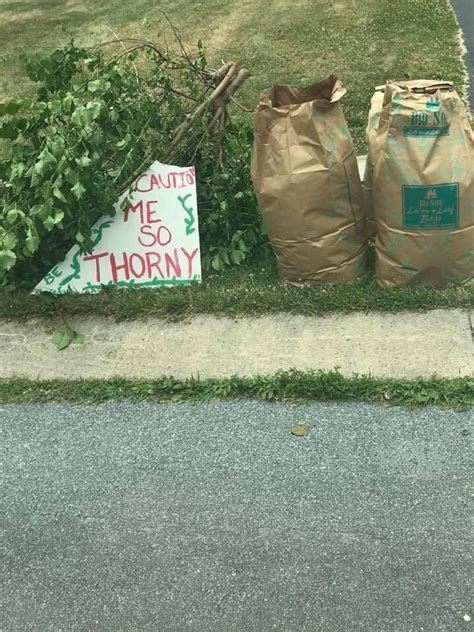 A Big Ass P R Unexpectedmulaney