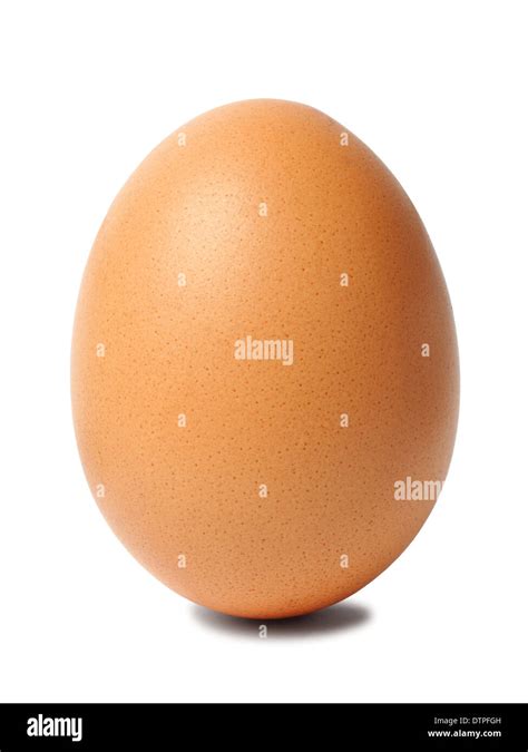 Standing Egg Isolated On White Background Stock Photo Alamy