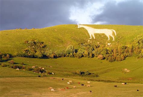 Westbury White Horse stock photo. Image of hillside, anglo - 129744