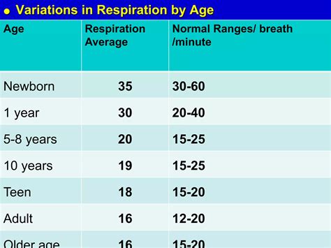 normal respiration rate cats 1
