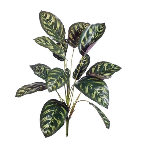 artificial calathea bush cm desflora