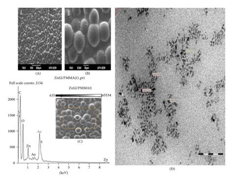 A And B Are Sem Micrograph Of Zns2pmma Nanocomposites At Different Download Scientific