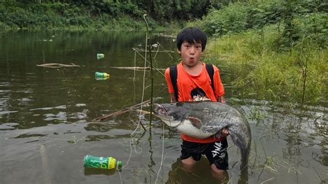 Fish Trap The Fish Trap Boy Khai Caught A Giant Catfish Weighing 12 Kg