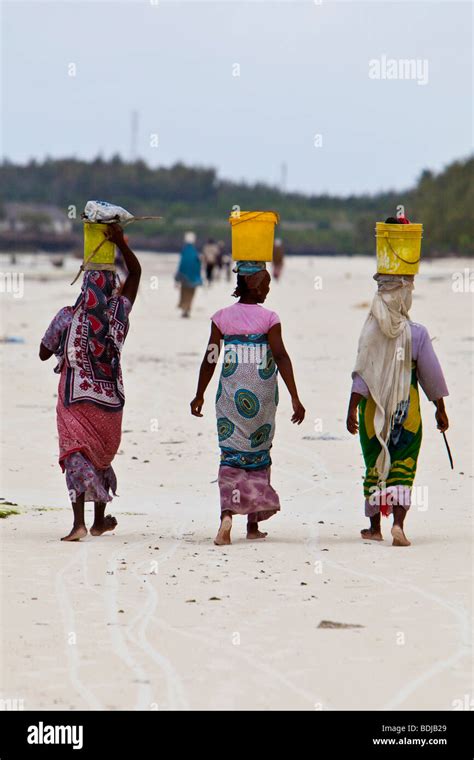 Women Carry Their Caught Fish In Buckets On Their Heads Zanzibar