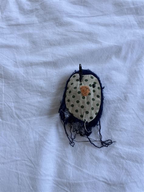 Can someone help me find my cats favorite toy? This one has seen better