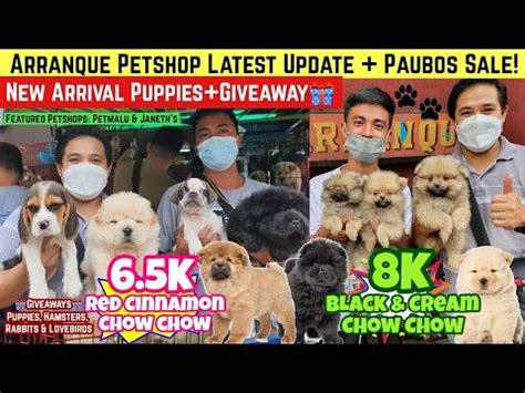 Arranque Petshop Jan New Arrival Puppies Giveaways May Paubos