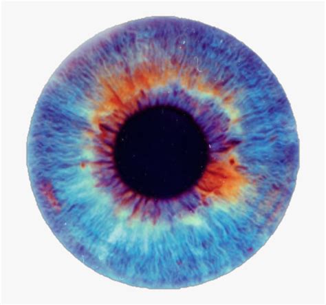 eye eyeball eyes pupil blueeyes pupilsticker sleeping