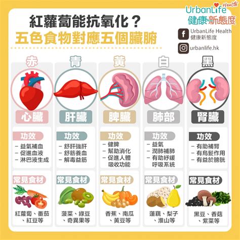 【五色食物對照表】紅色補血、黑色補腎？了解5色食物對應5個臟腑