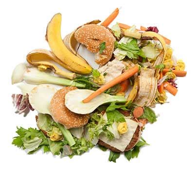 Food Waste Recycling & Collection - Direct365