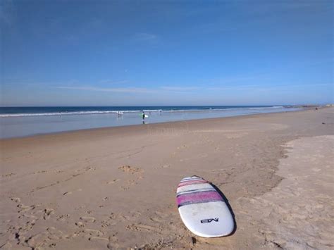 C Mo Elegir Tu Propia Tabla De Surf Furgoneteros