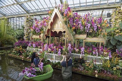 Top Imagen Kew Gardens Orchid Festival Abzlocal Fi