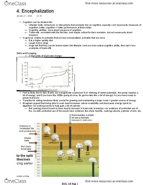 BIOL 320 Lecture Notes Winter 2018 Lecture 4 Encephalization