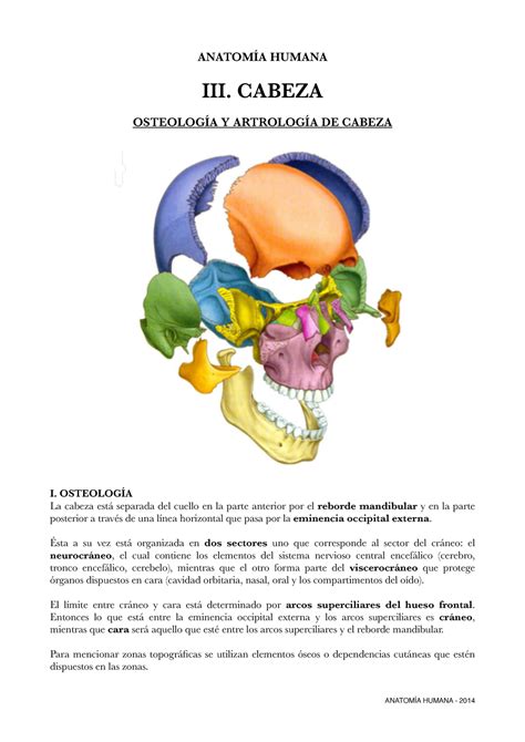 1 Apuntes Anatomía de la osteología de la cabeza ANATOMÍA HUMANA