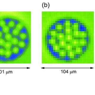 Scanning SQUID microscopy images of 90 µm diameter disk after cooling