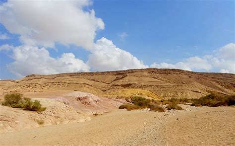 Desert Negev Nature - Free photo on Pixabay - Pixabay