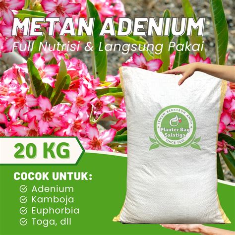 Jual Media Tanam Adenium Kg Siap Pakai Euphorbia Premium Pupuk