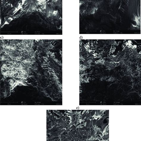 Sem Images Of Fracture Surfaces Of Cured Epoxy Resin For Variants A