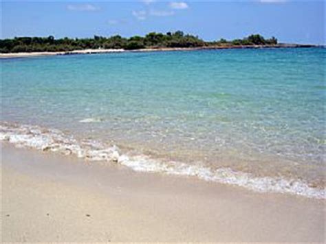 Torre Guaceto Beach, Beach in Puglia, Italy