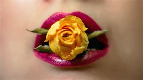 etwas durch die blume sagen deutsches institut