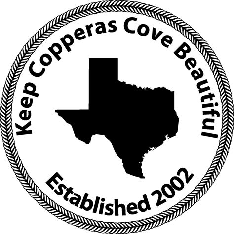 Detailed guide on why copperas cove tx is becoming a tech hub 5