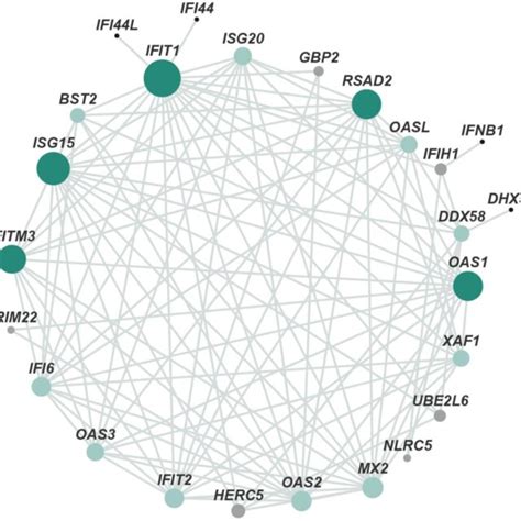 Protein Protein Interaction Network Of Degs The Main Network Cluster