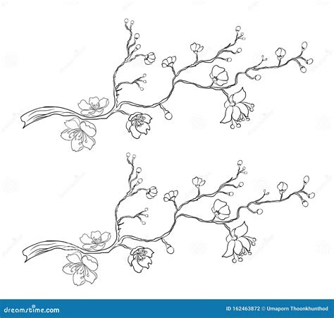 tattoo sakura flower 2