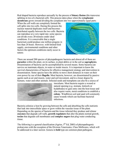 SOLUTION: Bacterial plant pathogens and symptomology not - Studypool