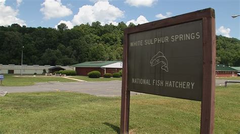 Wv Wildlife National Fish Hatchery Wchs