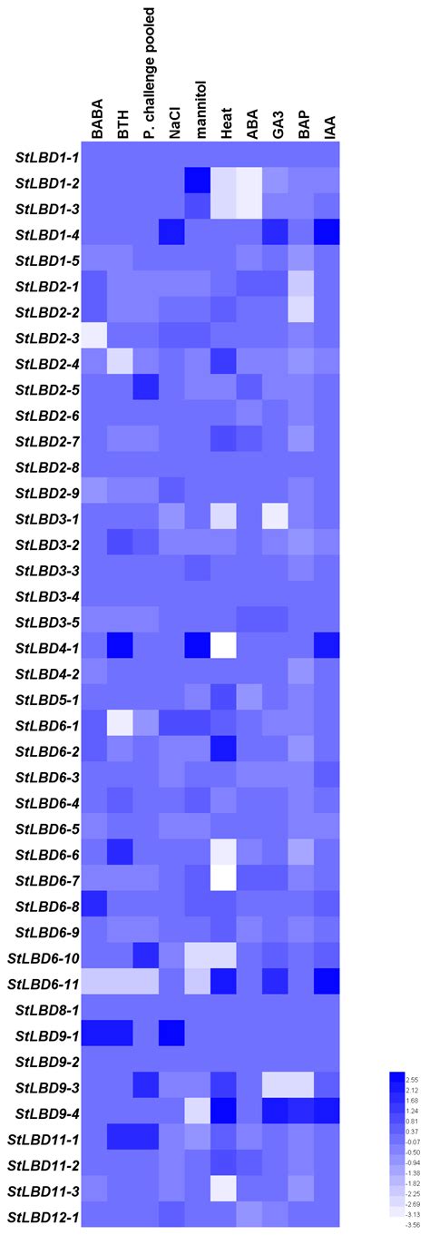 Ijms Free Full Text Genome Wide Analysis Of The Lateral Organ