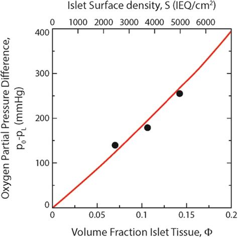 Long Term Viability And Function Of Transplanted Islets