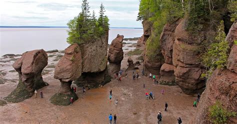 Explore The Hopewell Rocks Hopewell Cape New Brunswick