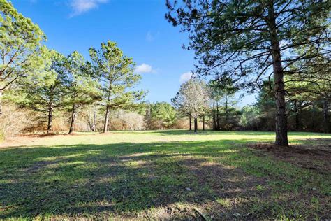 Alabama Lake View Property 36 Acres Country Tracts