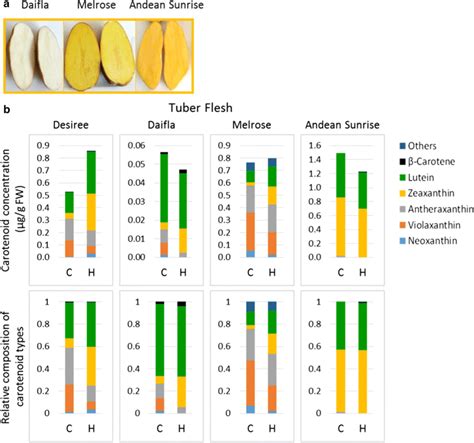 Potato Carotenoids A Tuber Flesh Color Of Carotenoid Deficient Download Scientific Diagram