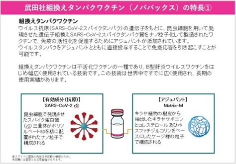 よく効くが持続力が短い「新型コロナワクチン」 ～重症化することはまずないの写真（1） ニッポン放送 News Online