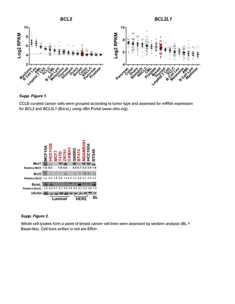 Key Survival Factor Mcl 1 Correlates With Sensitivity To Combined Bcl 2bcl Xl Blockade