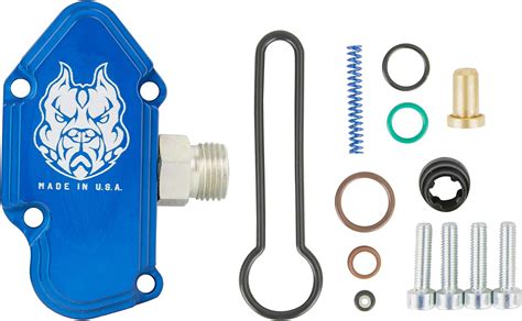 Amazon Blue Spring Kit Upgrade Fuel Regulator Kit