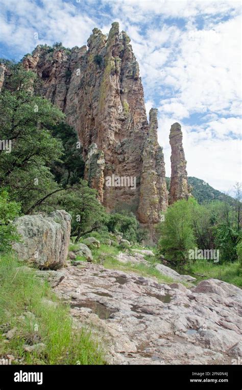 Sycamore Canyon in Southern Arizona Stock Photo - Alamy