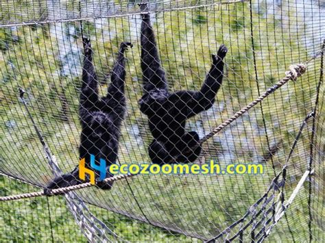 Monkey Enclosure Monkey Fence Monkey Cages Wire Rope Mesh