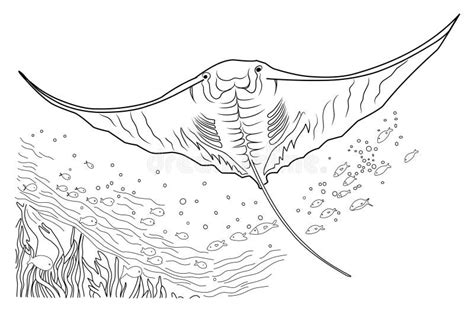 Deep Sea Manta Ray Coloring Page Cartoon Stingray Linear Illustration